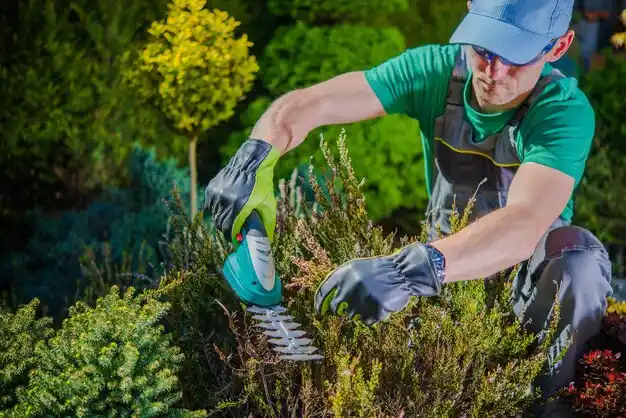 landscaping services Bryan